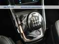 Ford EcoSport 1.0 ecoboost Titanium s&s 125cv my20.25 Grigio - thumbnail 14