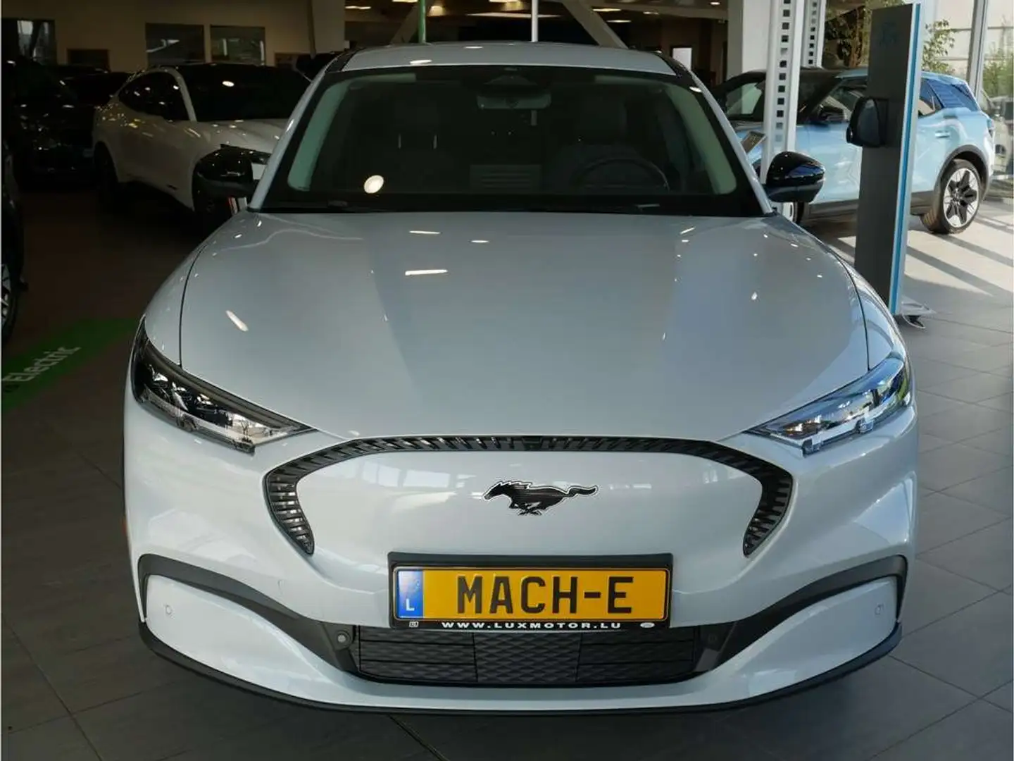 Ford Mustang Mach-E Base 72kWh Standard Range LFP 269ch/198kW - A1 Blanc - 1
