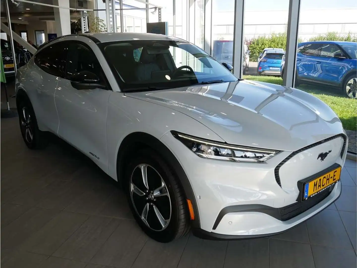 Ford Mustang Mach-E Base 72kWh Standard Range LFP 269ch/198kW - A1 Blanc - 2