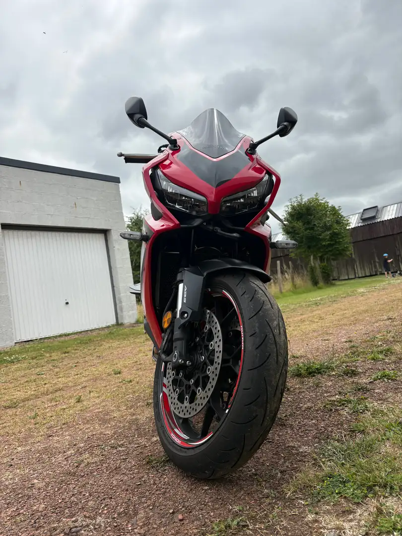 Honda CBR 650 Rot - 2
