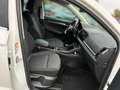 Skoda Karoq Clever 2.0 TDI DSG 4x4 Navi SHZ Frontsch. heizb. Weiß - thumbnail 16