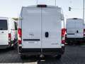 Opel Movano Cargo L3H2 103kw 2,2 BlueHDI *AHK*NAV*RFK Alb - thumbnail 14
