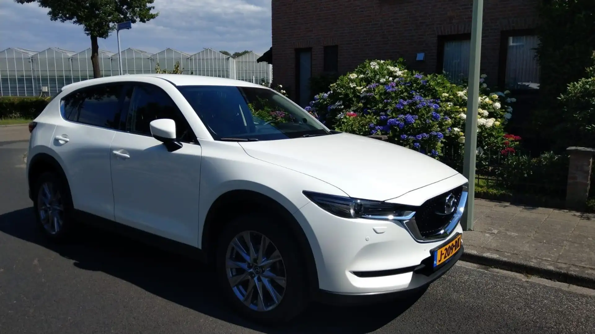 Mazda CX-5 2.0 Luxury, oa HUD,Bose soundsystem,360grcam,leder Wit - 2