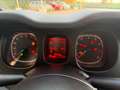 Fiat Panda Panda III 2016 1.2 Easy easypower Gpl 69cv my19 Grau - thumbnail 9