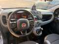 Fiat Panda Panda III 2016 1.2 Easy easypower Gpl 69cv my19 Grau - thumbnail 8