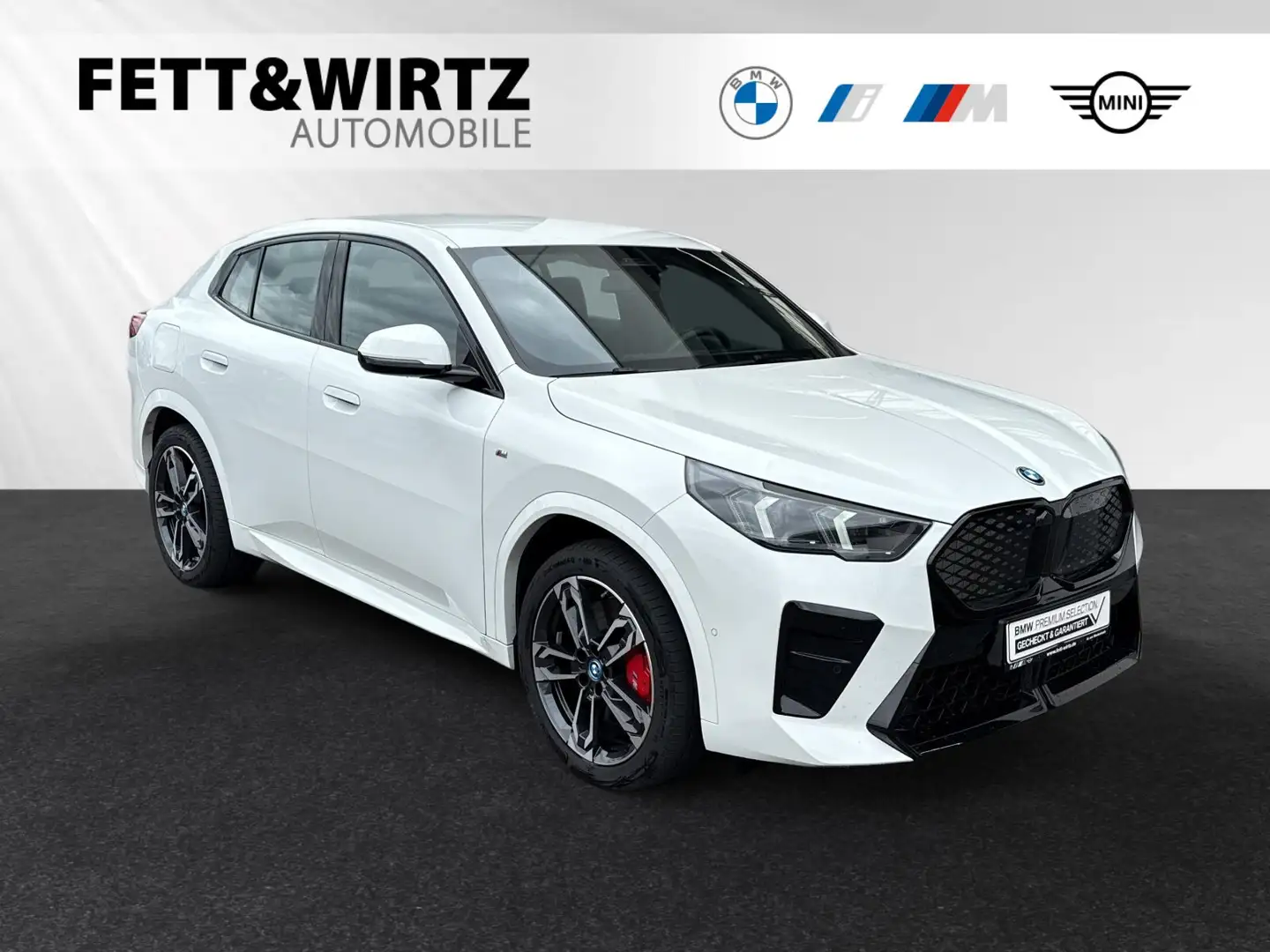 BMW iX2 xDrive30 M Sport Pro|Sportsitz|Parkassist. Blanco - 1