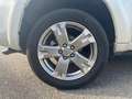 Toyota RAV 4 RAV4 Crossover 2.2 D-Cat A/T 150 CV Executive Weiß - thumbnail 21