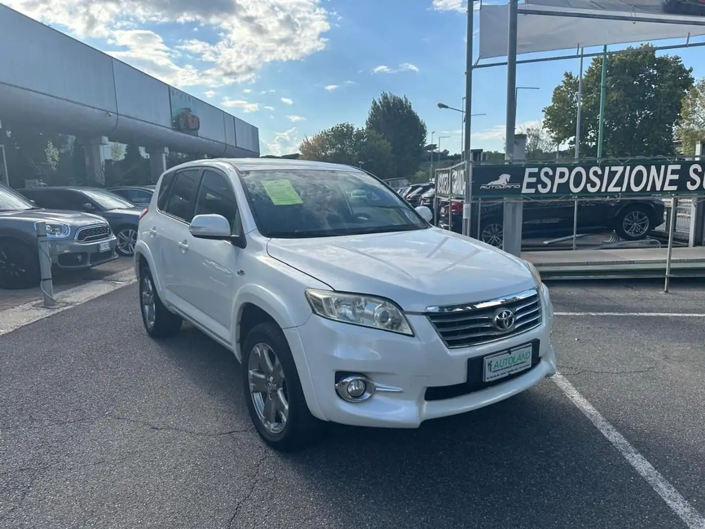 Toyota RAV 4 RAV4 Crossover 2.2 D-Cat A/T 150 CV Executive Weiß - 2