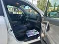 Toyota RAV 4 RAV4 Crossover 2.2 D-Cat A/T 150 CV Executive Weiß - thumbnail 11