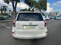 Toyota RAV 4 RAV4 Crossover 2.2 D-Cat A/T 150 CV Executive Weiß - thumbnail 6