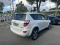Toyota RAV 4 RAV4 Crossover 2.2 D-Cat A/T 150 CV Executive Weiß - thumbnail 3