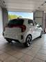 Kia Picanto 1.0 mpi Gpl Launch Edition Km0-Garanzia 7 anni Bianco - thumbnail 5