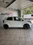 Kia Picanto 1.0 mpi Gpl Launch Edition Km0-Garanzia 7 anni Bianco - thumbnail 3