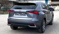 Lexus NX 300h NX 300h Limited Hybrid Aut. Limited Grau - thumbnail 5