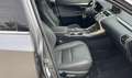 Lexus NX 300h NX 300h Limited Hybrid Aut. Limited Grau - thumbnail 11