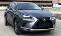 Lexus NX 300h NX 300h Limited Hybrid Aut. Limited Grau - thumbnail 1
