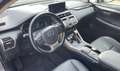 Lexus NX 300h NX 300h Limited Hybrid Aut. Limited Grau - thumbnail 10