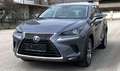 Lexus NX 300h NX 300h Limited Hybrid Aut. Limited Grau - thumbnail 3