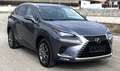Lexus NX 300h NX 300h Limited Hybrid Aut. Limited Grau - thumbnail 2