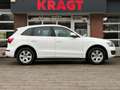 Audi Q5 Quattro Pro Line 2.0 TFSI 211 pk - Motormodificati Alb - thumbnail 5