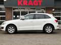 Audi Q5 Quattro Pro Line 2.0 TFSI 211 pk - Motormodificati Alb - thumbnail 6