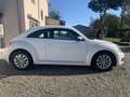 Volkswagen Maggiolino 1.6 tdi Design 105cv dsg - thumbnail 6
