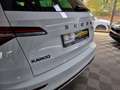 Skoda Karoq Sportline 1.5 TSI DSG ACC MATRIX AB 3,99 % Weiß - thumbnail 50
