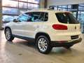 Volkswagen Tiguan TIGUAN 2.0 TDI SPORT&STYLE SITZHZ PDC TEMPOM AHK Weiß - thumbnail 7