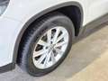 Volkswagen Tiguan TIGUAN 2.0 TDI SPORT&STYLE SITZHZ PDC TEMPOM AHK Weiß - thumbnail 22