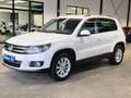 Volkswagen Tiguan TIGUAN 2.0 TDI SPORT&STYLE SITZHZ PDC TEMPOM AHK Weiß - thumbnail 9