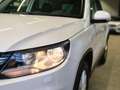 Volkswagen Tiguan TIGUAN 2.0 TDI SPORT&STYLE SITZHZ PDC TEMPOM AHK Weiß - thumbnail 24