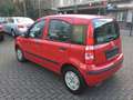 Fiat Panda 1.2 Dynamic Klima, Servo, Zentral, ABS. E. Fenster Rot - thumbnail 5