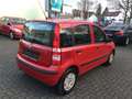Fiat Panda 1.2 Dynamic Klima, Servo, Zentral, ABS. E. Fenster Rot - thumbnail 14