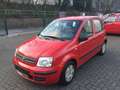Fiat Panda 1.2 Dynamic Klima, Servo, Zentral, ABS. E. Fenster Rot - thumbnail 1