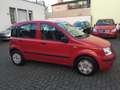 Fiat Panda 1.2 Dynamic Klima, Servo, Zentral, ABS. E. Fenster Rot - thumbnail 13