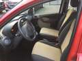 Fiat Panda 1.2 Dynamic Klima, Servo, Zentral, ABS. E. Fenster Rot - thumbnail 8