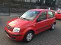 Fiat Panda 1.2 Dynamic Klima, Servo, Zentral, ABS. E. Fenster Rot - thumbnail 3