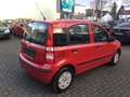 Fiat Panda 1.2 Dynamic Klima, Servo, Zentral, ABS. E. Fenster Rot - thumbnail 6