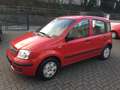 Fiat Panda 1.2 Dynamic Klima, Servo, Zentral, ABS. E. Fenster Rot - thumbnail 10