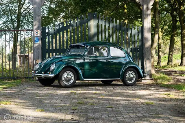 Volkswagen Kever 1100 Ovaal