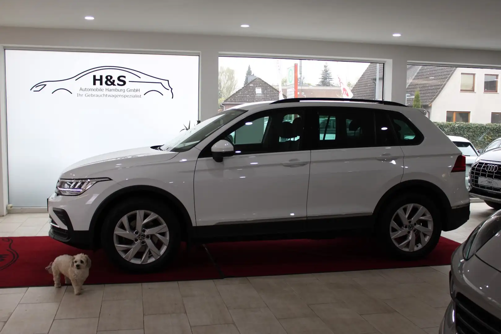 Volkswagen Tiguan Life 1.5 *AHK*KAMERA*PDC White - 2