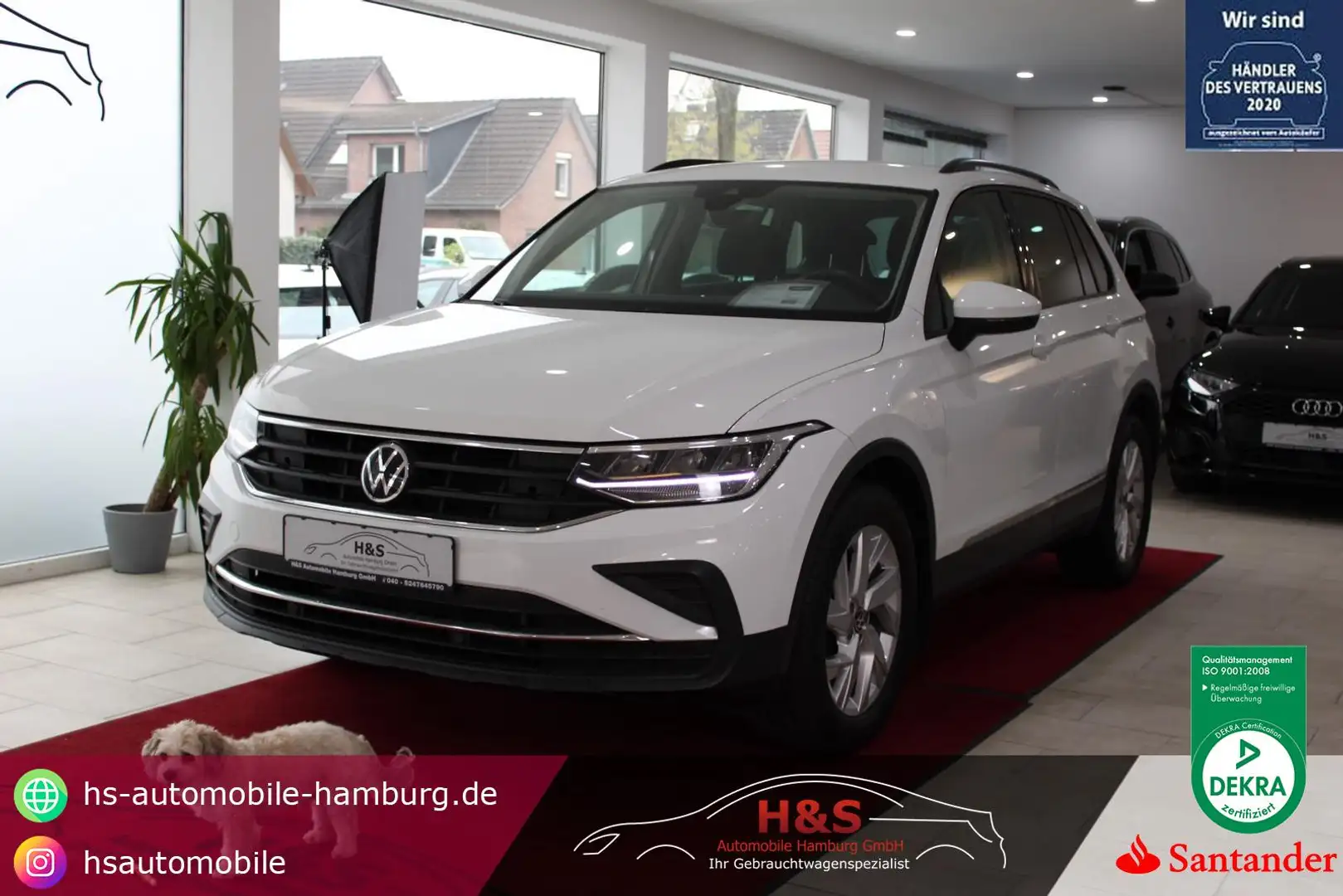 Volkswagen Tiguan Life 1.5 *AHK*KAMERA*PDC White - 1