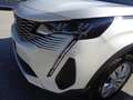 Peugeot 3008 BlueHDi 130 S&S EAT8 Active Business Bianco - thumbnail 15