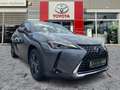 Lexus UX 250h Launch Edition Navi*KAM*DAB*SHZ Grau - thumbnail 7