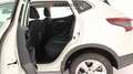 Nissan Qashqai 2ª SERIE 1.5 DCI 115 CV DCT BUSINESS Blanc - thumbnail 15