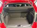 Fiat Grande Panda 1.2 MHEV 110 DCT ICON MIRROR LL16 RADAR AR PACK ST Rojo - thumbnail 7