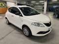 Lancia Ypsilon Ypsilon 1.2 Silver ecochic Gpl 69cv Bianco - thumbnail 11