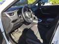 Toyota RAV 4 2.5 Plug-in Hybrid 4x4 SEGEBERG Kamera SHZ LHZ ACC Bianco - thumbnail 9