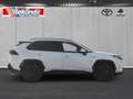 Toyota RAV 4 2.5 Plug-in Hybrid 4x4 SEGEBERG Kamera SHZ LHZ ACC Bianco - thumbnail 3