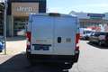 Fiat Ducato KW35 L2H1 140 Automatik Voll Led Abstand... Grau - thumbnail 16